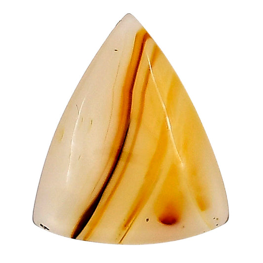 Montana Agate 22x18.7x4.7 mm Fancy Gemstone LS02633-40