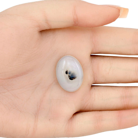 Montana Agate 23.85x17.4x5 mm Oval Gemstone LS02635-40