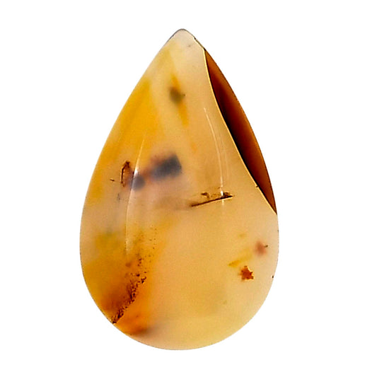 Montana Agate 22.4x14x5 mm Pear Gemstone LS02636-40