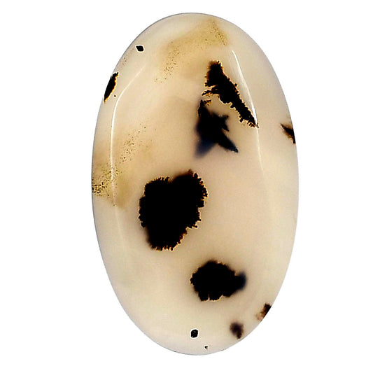 Montana Agate 30.6x18.6x4 mm Oval Gemstone LS02637-40