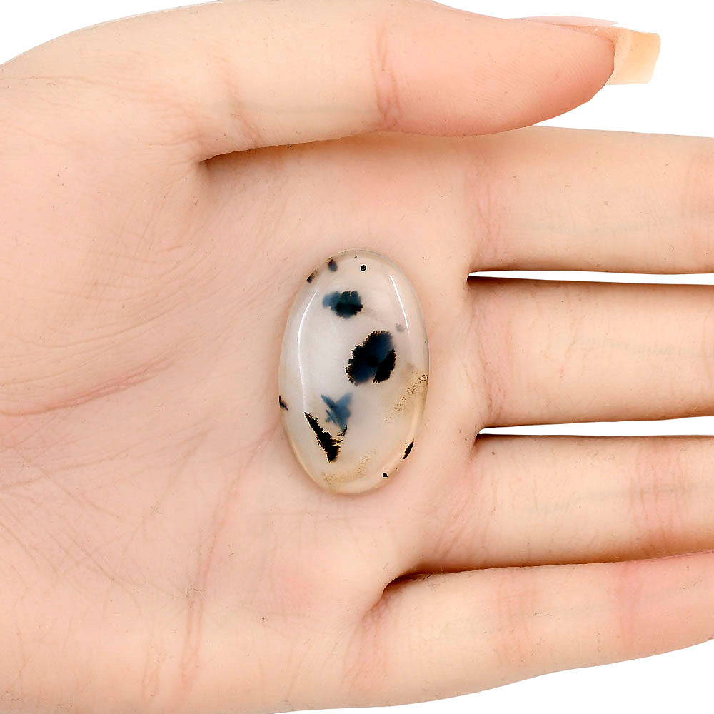 Montana Agate 30.6x18.6x4 mm Oval Gemstone LS02637-40