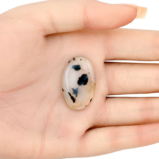 Montana Agate 30.6x18.6x4 mm Oval Gemstone LS02637-40