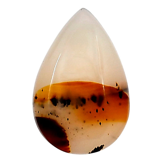Montana Agate 22.4x14.8x5 mm Pear Gemstone LS02638-40