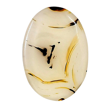 Montana Agate 26.35x18.5x4 mm Oval Gemstone LS02639-40