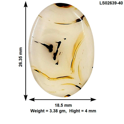 Montana Agate 26.35x18.5x4 mm Oval Gemstone LS02639-40