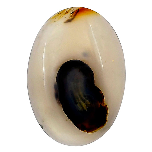 Montana Agate 28x20x4.8 mm Oval Gemstone LS02642-40