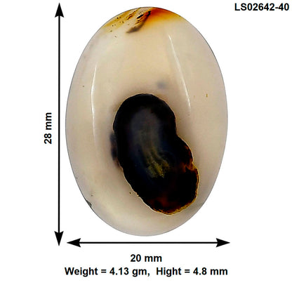 Montana Agate 28x20x4.8 mm Oval Gemstone LS02642-40
