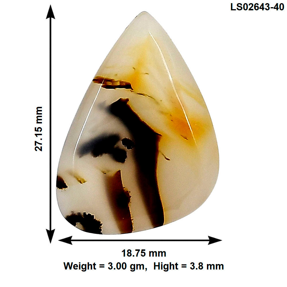 Montana Agate 27.15x18.75x3.8 mm Fancy Gemstone LS02643-40
