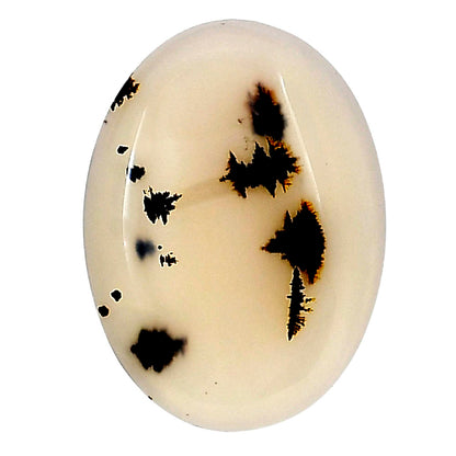 Montana Agate 28.1x20.6x4.5 mm Oval Gemstone LS02644-40