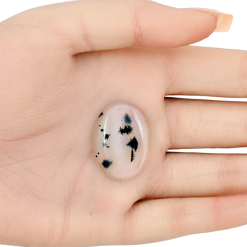 Montana Agate 28.1x20.6x4.5 mm Oval Gemstone LS02644-40