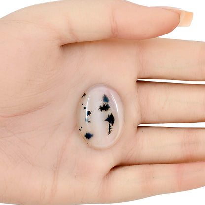 Montana Agate 28.1x20.6x4.5 mm Oval Gemstone LS02644-40