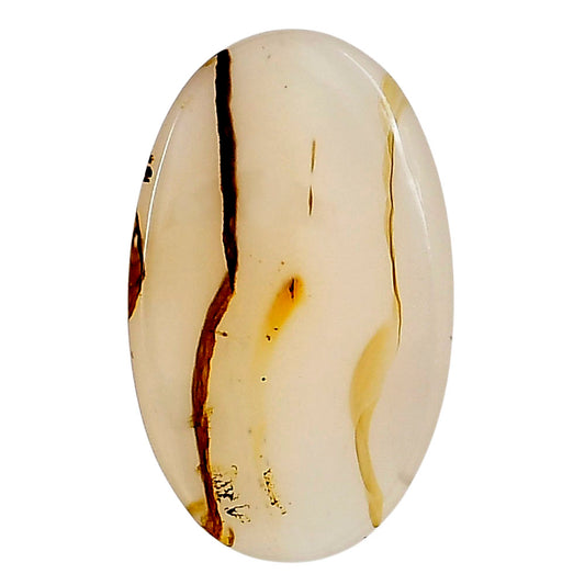 Montana Agate 31.25x19.1x3.3 mm Oval Gemstone LS02645-40