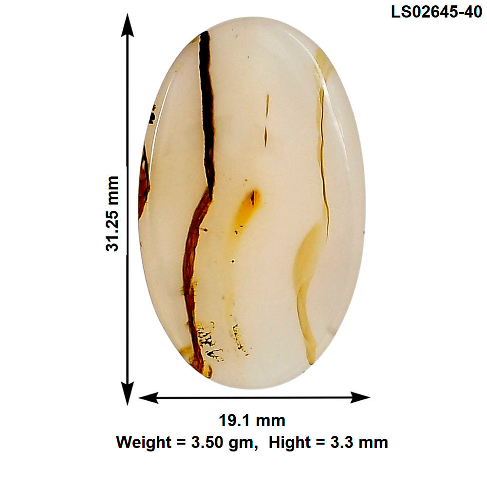 Montana Agate 31.25x19.1x3.3 mm Oval Gemstone LS02645-40