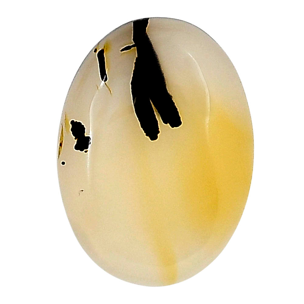 Montana Agate 22x16.1x4.5 mm Oval Gemstone LS02646-40