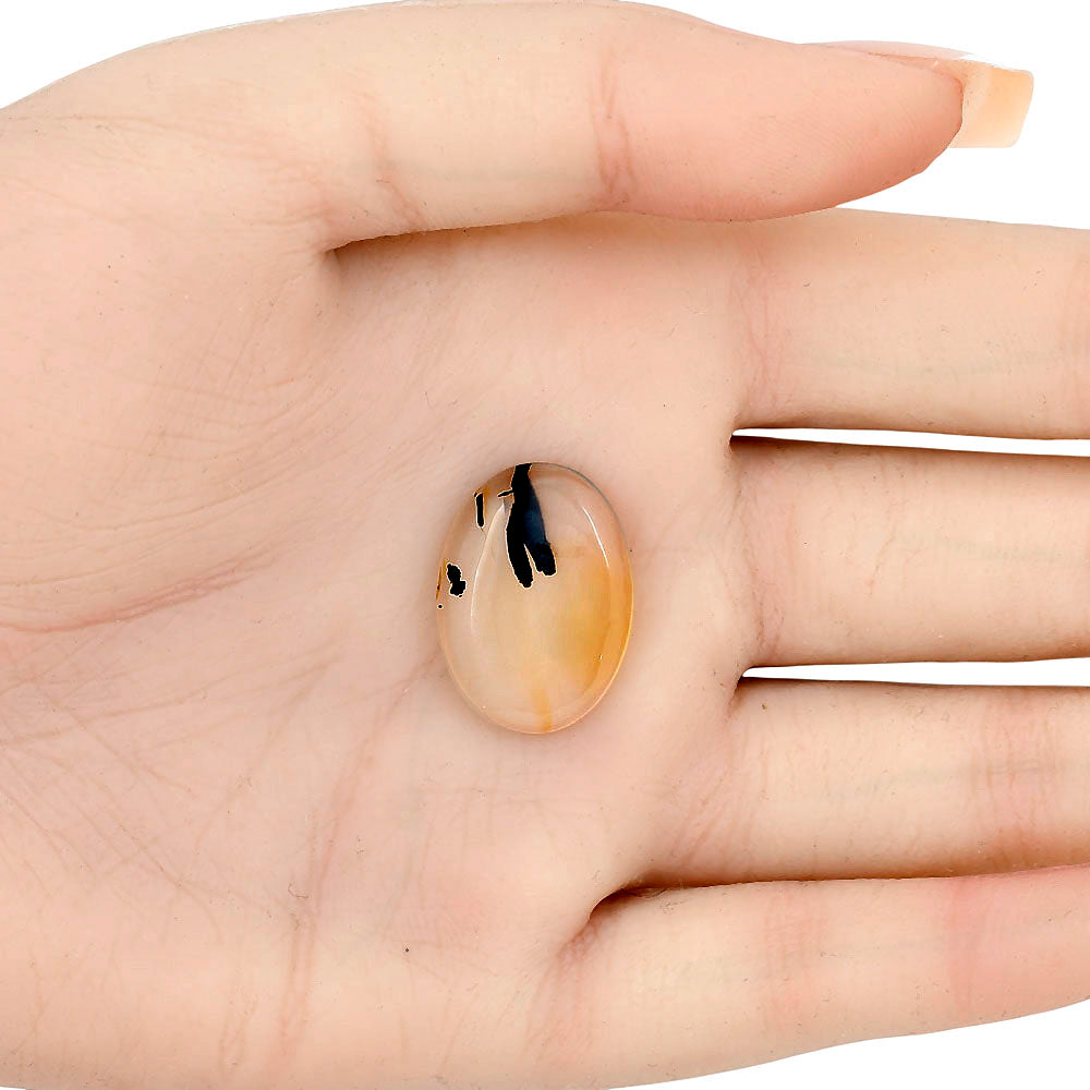 Montana Agate 22x16.1x4.5 mm Oval Gemstone LS02646-40