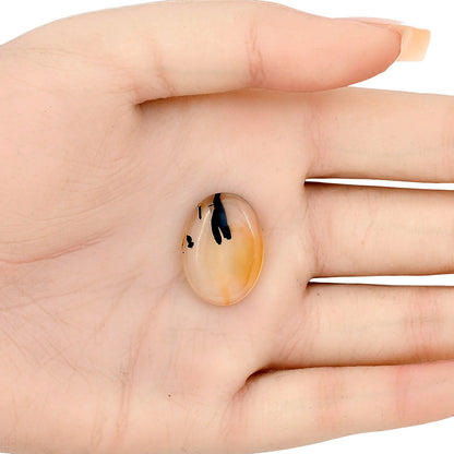 Montana Agate 22x16.1x4.5 mm Oval Gemstone LS02646-40