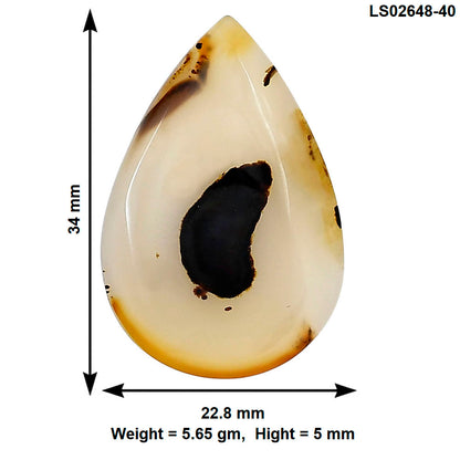 Montana Agate 34x22.8x5 mm Pear Gemstone LS02648-40