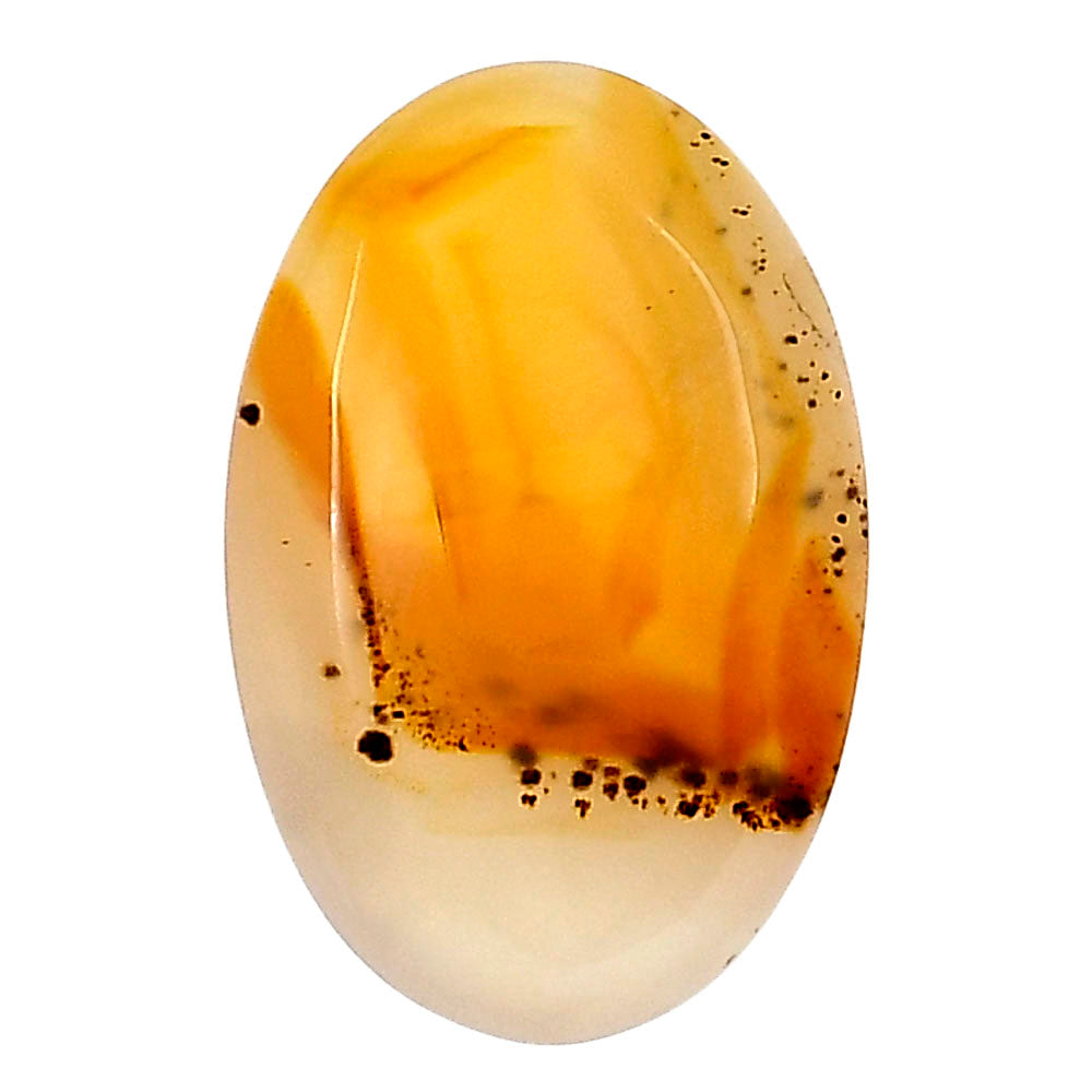 Montana Agate 25.85x17x5 mm Oval Gemstone LS02649-40