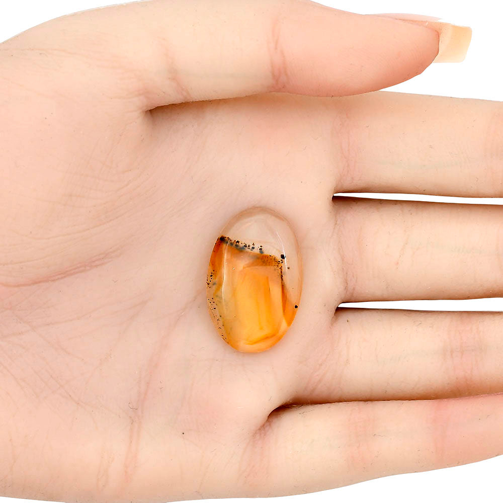 Montana Agate 25.85x17x5 mm Oval Gemstone LS02649-40