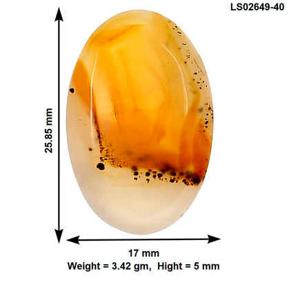 Montana Agate 25.85x17x5 mm Oval Gemstone LS02649-40