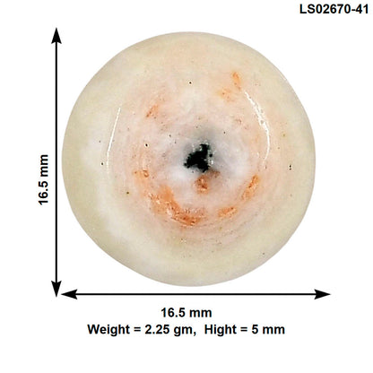 Solar Quartz Eye 16.5x16.5x5 mm Round Gemstone LS02670-41
