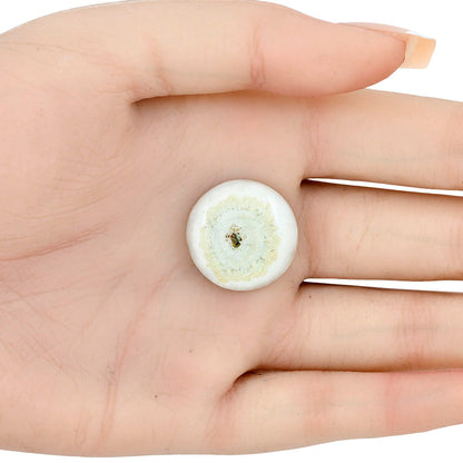 Solar Quartz Eye 21.3x21.3x5 mm Round Gemstone LS02672-41
