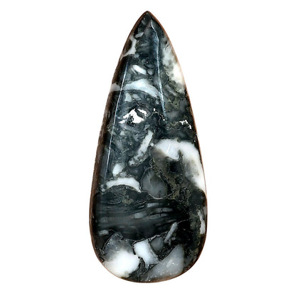Orthoceras 42.25x18.45x5.4 mm Pear Gemstone LS02789-44