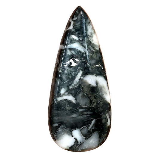 Orthoceras 42.25x18.45x5.4 mm Pear Gemstone LS02789-44