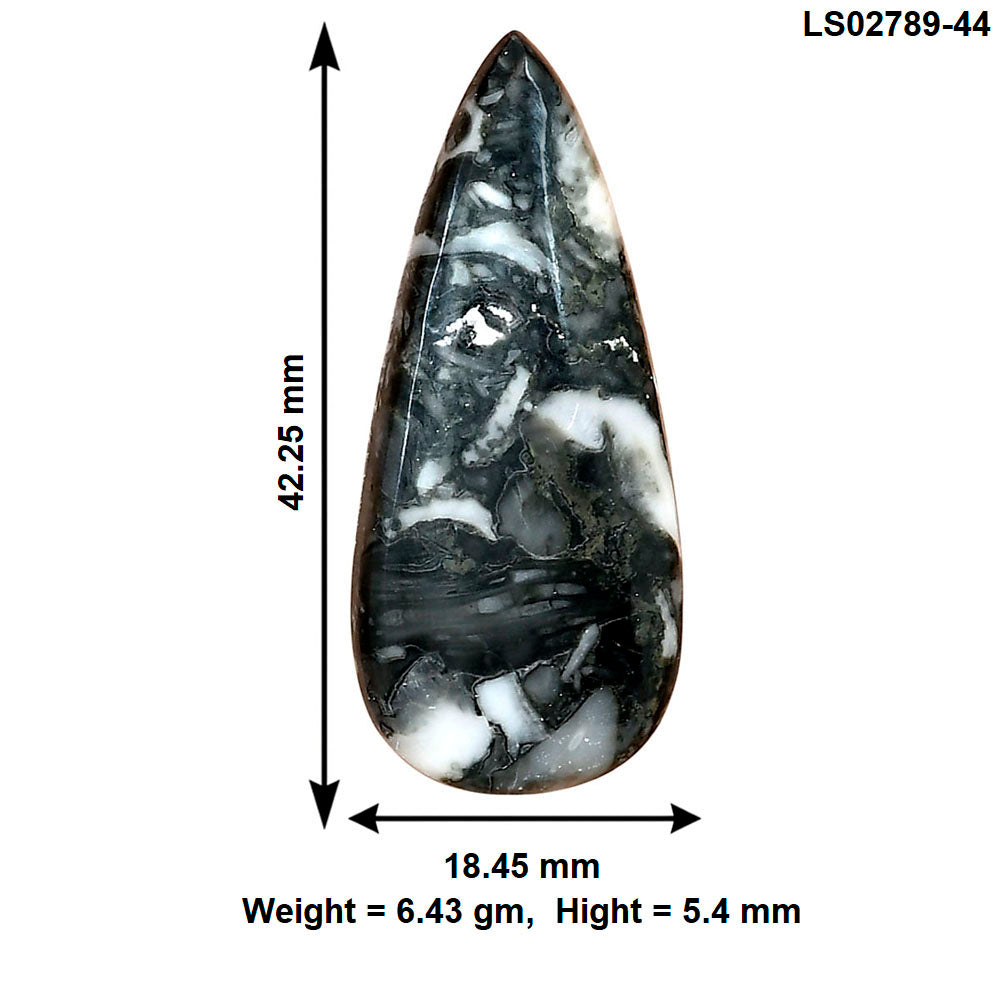 Orthoceras 42.25x18.45x5.4 mm Pear Gemstone LS02789-44