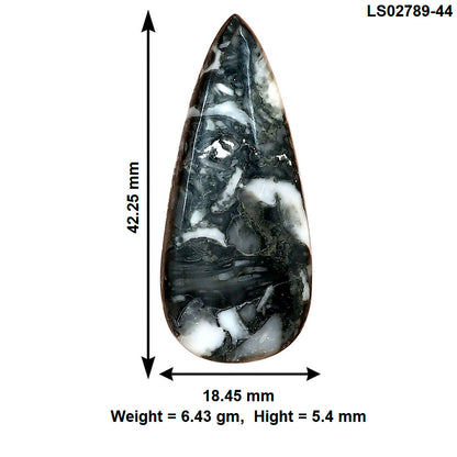 Orthoceras 42.25x18.45x5.4 mm Pear Gemstone LS02789-44