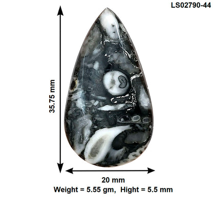 Orthoceras 35.75x20x5.5 mm Pear Gemstone LS02790-44