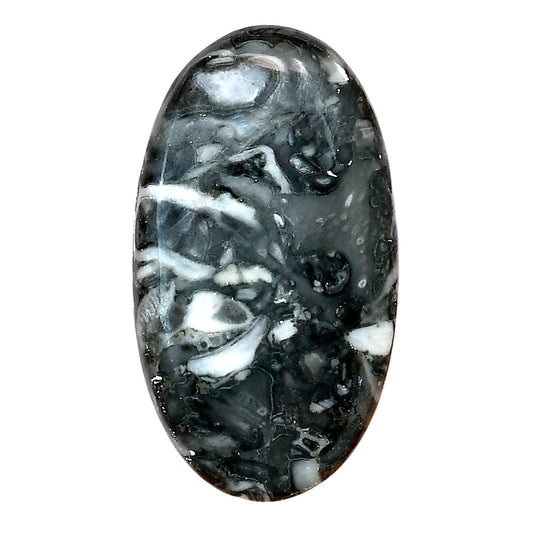 Orthoceras 37x20.65x5 mm Oval Gemstone LS02791-44