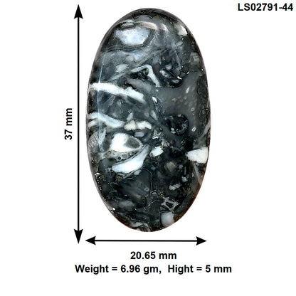 Orthoceras 37x20.65x5 mm Oval Gemstone LS02791-44