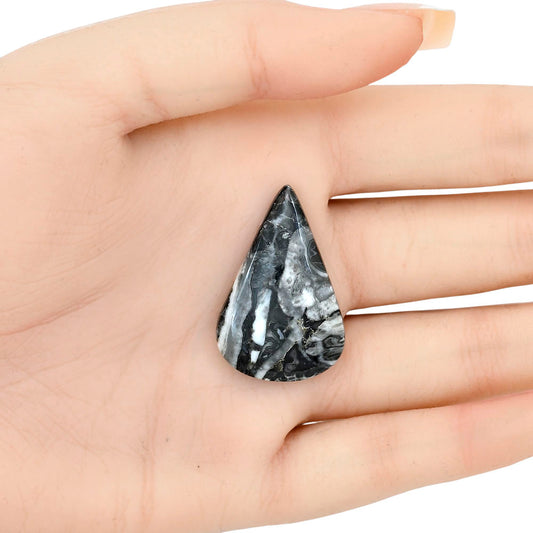 Orthoceras 33x21.75x5.4 mm Pear Gemstone LS02793-44