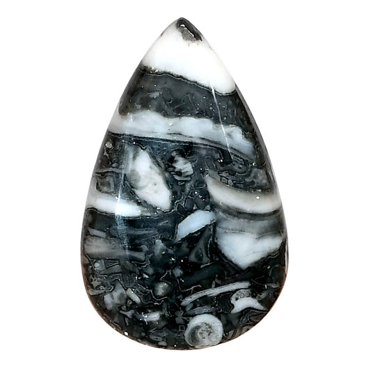 Orthoceras 33x20.6x5.5 mm Pear Gemstone LS02794-44
