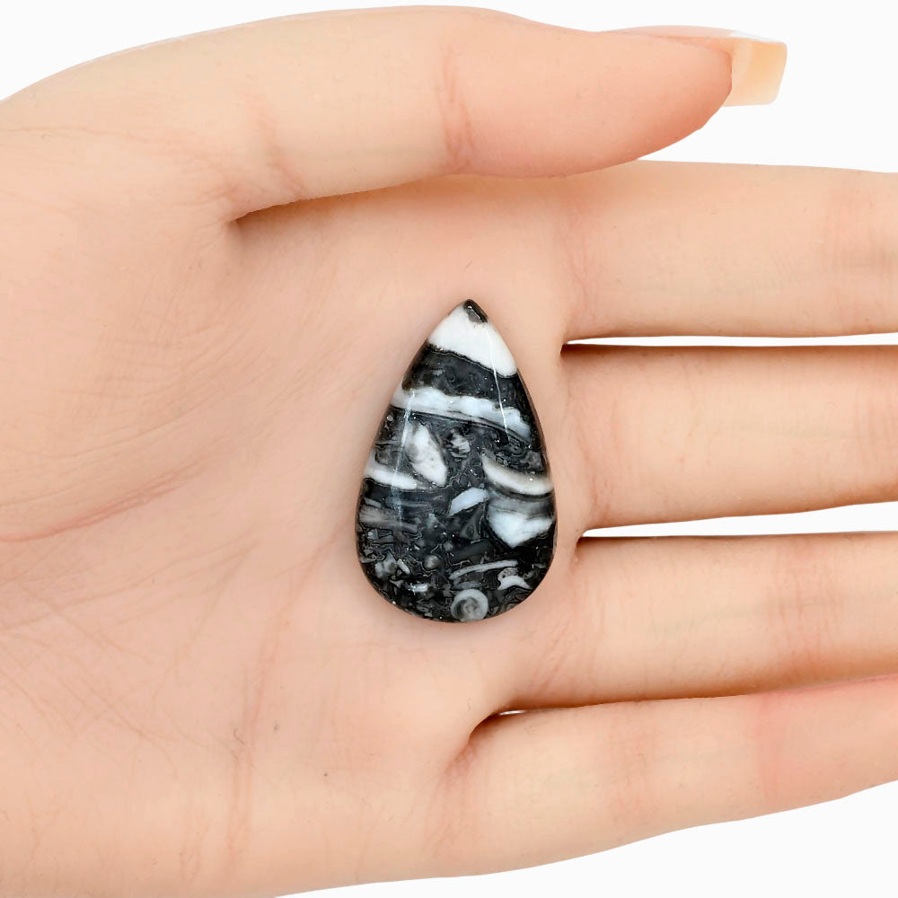 Orthoceras 33x20.6x5.5 mm Pear Gemstone LS02794-44