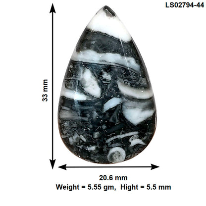 Orthoceras 33x20.6x5.5 mm Pear Gemstone LS02794-44