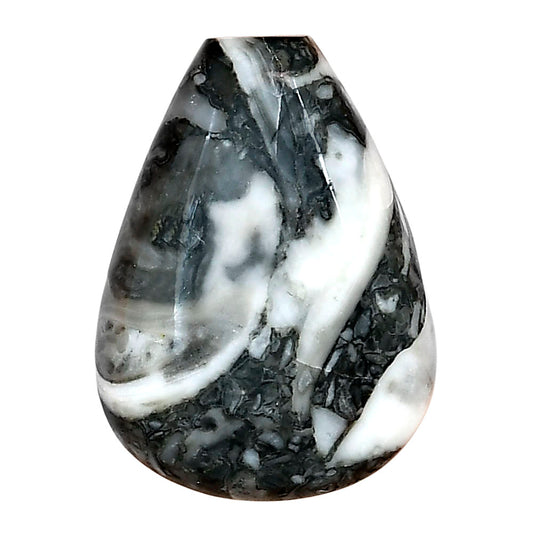 Orthoceras 29.6x21.25x5.5 mm Fancy Gemstone LS02795-44