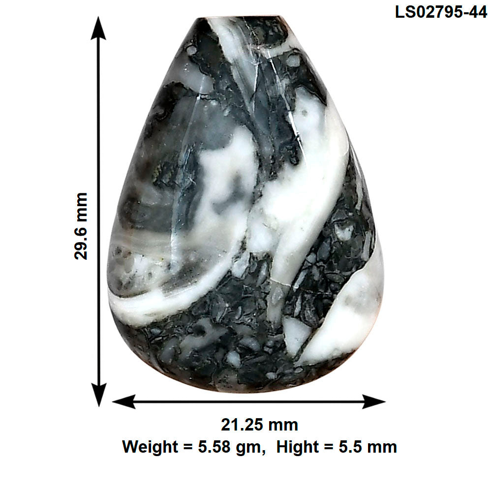 Orthoceras 29.6x21.25x5.5 mm Fancy Gemstone LS02795-44