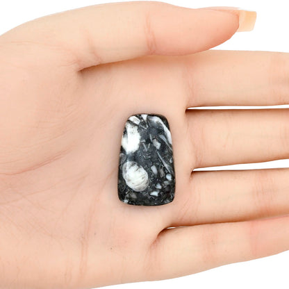 Orthoceras 29.45x18.6x5.3 mm Fancy Gemstone LS02796-44