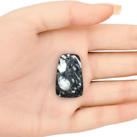 Orthoceras 29.45x18.6x5.3 mm Fancy Gemstone LS02796-44