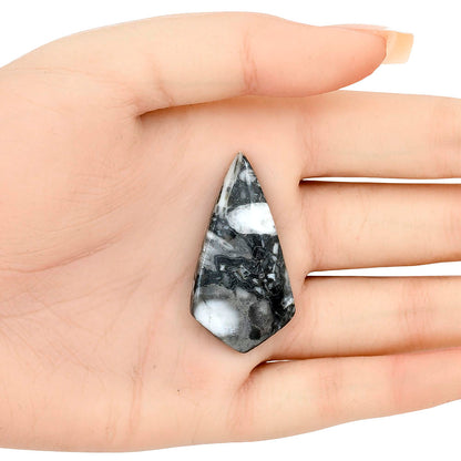 Orthoceras 41.5x21.65x5 mm Fancy Gemstone LS02797-44