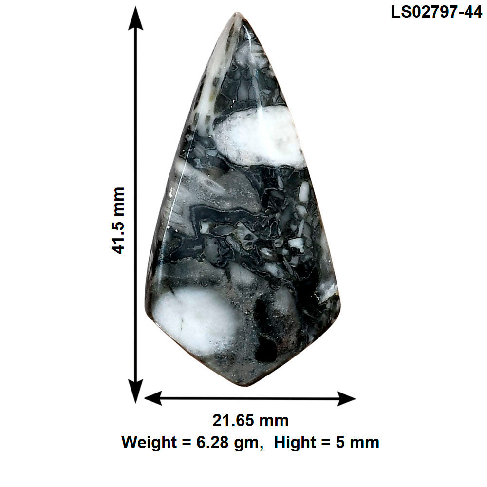 Orthoceras 41.5x21.65x5 mm Fancy Gemstone LS02797-44