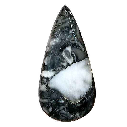 Orthoceras 34.25x17x5 mm Pear Gemstone LS02798-44