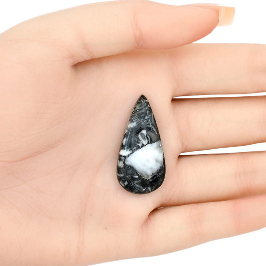 Orthoceras 34.25x17x5 mm Pear Gemstone LS02798-44