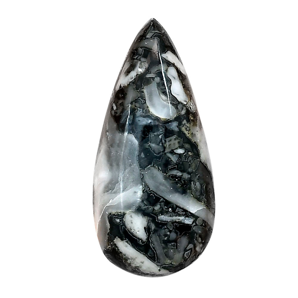 Orthoceras 34.5x16.3x6.5 mm Pear Gemstone LS02799-44