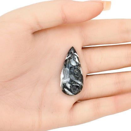 Orthoceras 34.5x16.3x6.5 mm Pear Gemstone LS02799-44