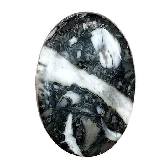 Orthoceras 30.35x21x6 mm Oval Gemstone LS02800-44