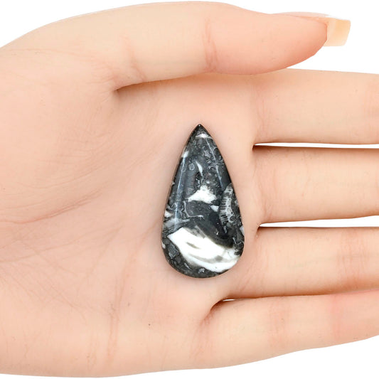 Orthoceras 37.1x20.15x5 mm Pear Gemstone LS02801-44