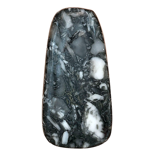 Orthoceras 34.25x17.1x4 mm Fancy Gemstone LS02803-44
